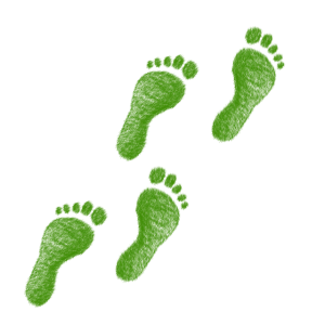Best Foot Forward