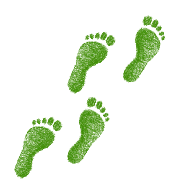 Best Foot Forward